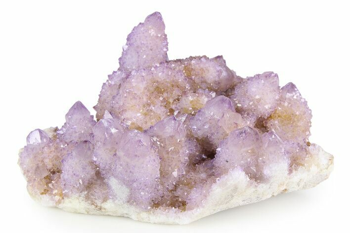 Sparkling Cactus Amethyst Crystal Cluster - South Africa #382319